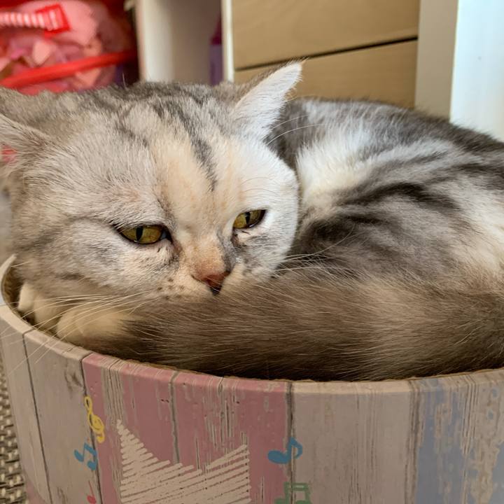 A09fa648 f896 4a8a a803 9e9528dd5d6b 1710894040675