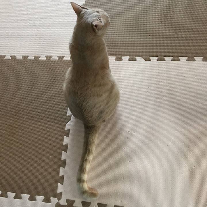 A09faced 27af 421e b754 99f431ad31e7 1571235128236