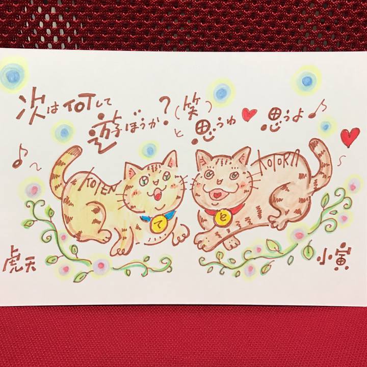 A09fad0a c2c8 4690 8b3a 0accfc22ec51 1558882936334