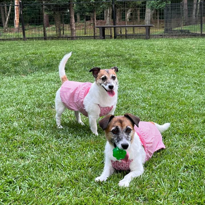 A09fb6ca 6ff1 4042 aa9f b8f60c9ce828 1758611887563