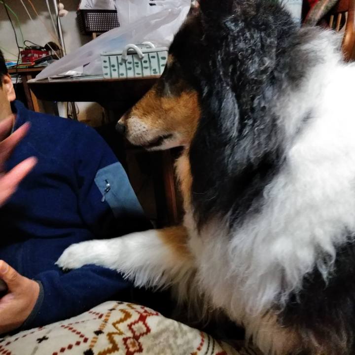 A09fcb23 3e31 4fd6 b383 84c3555c587e 1554905394406