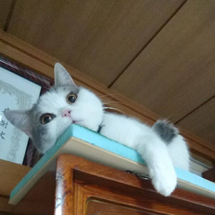 A09fda5e 787a 47c6 b965 0f9537624888 1550924226170