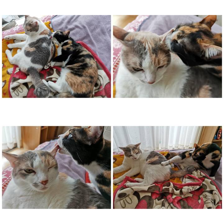 A0a0133a 37fa 4b9b b9cb 89c0a41231de 1679373025944