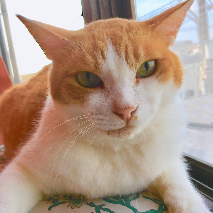 A0a01d01 068b 4060 b5e1 e0ef9d6ef3c3 1564449431027