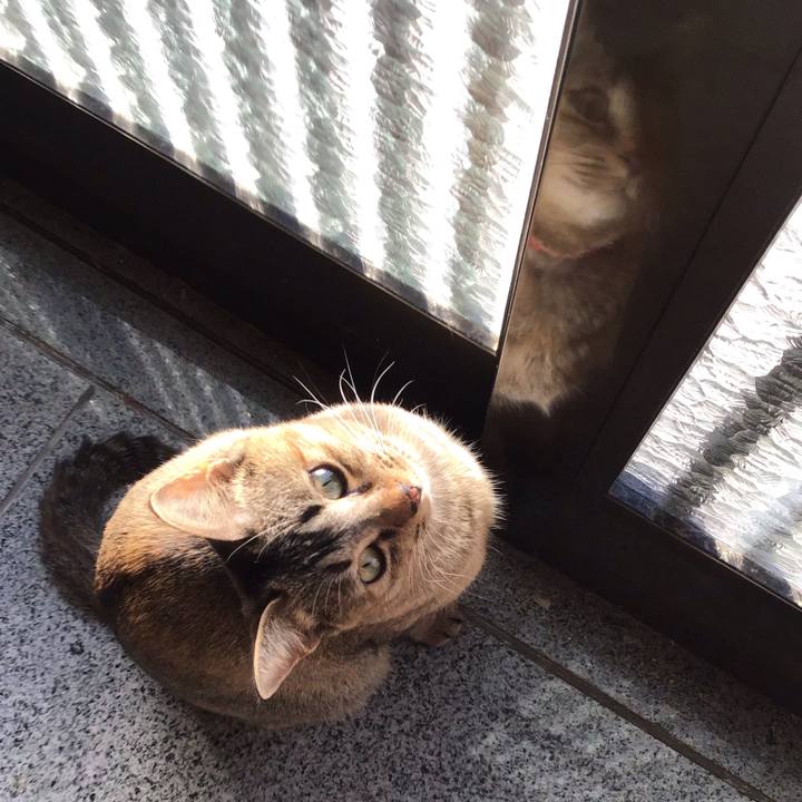 A0a03c72 a317 4564 b7c4 acc3332b79ee 1579564698045