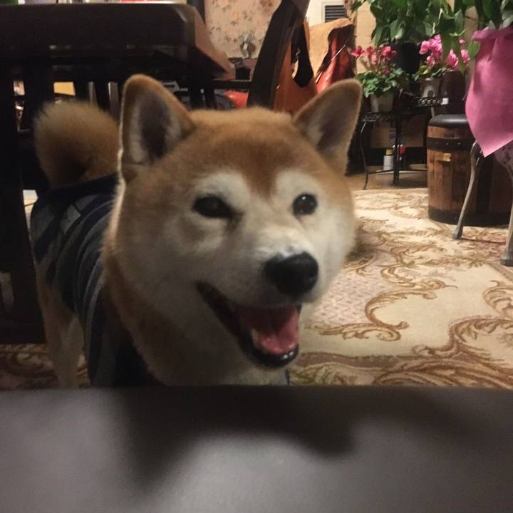 A0a063b0 f028 4abe 92ee 5fe490201e36 1579341213238