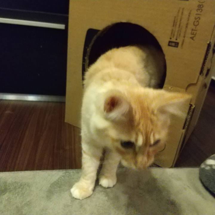 A0a0717e c678 4a78 93d3 a80868a2d56d 1613080770398