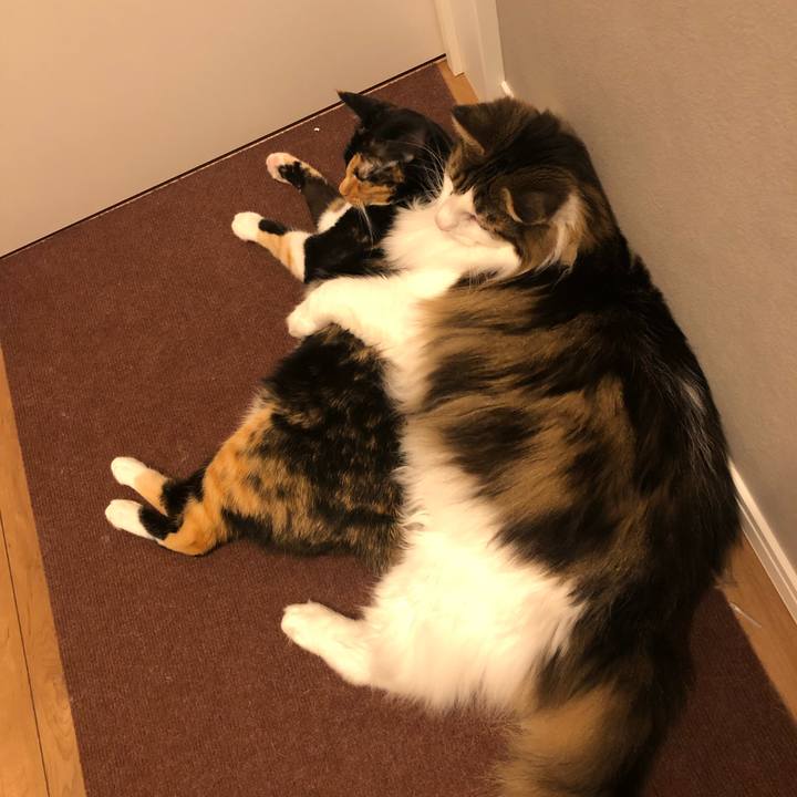 A0a07851 35f8 4792 a584 055a7e485005 1662032522057