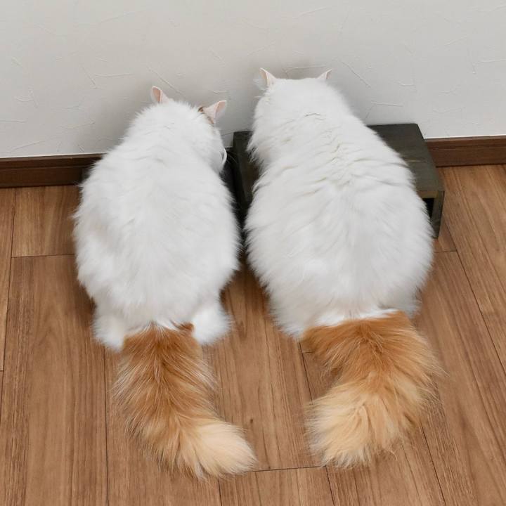 A0a07968 aa54 449d 835f 2cec9ee6c0ce 1761958379684