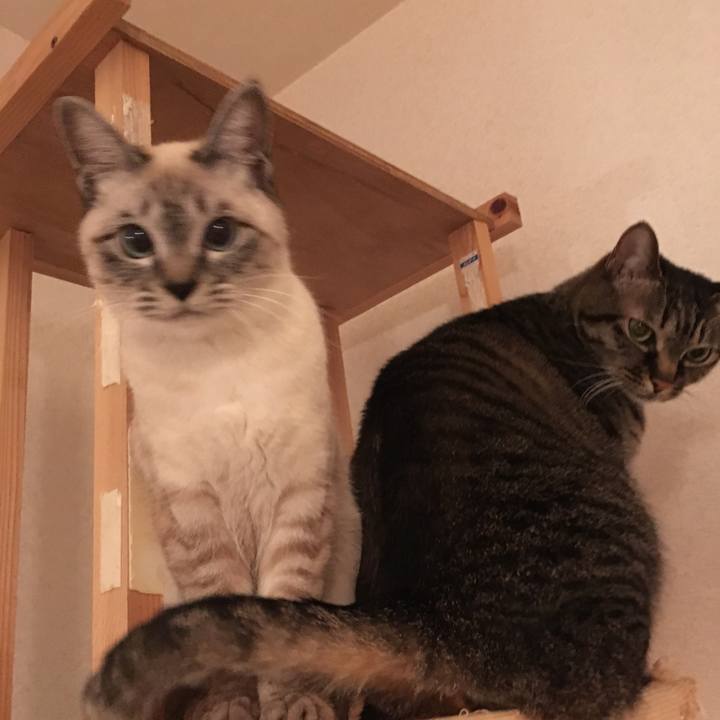 A0a08056 8a85 46f6 aede e7a657d985f4 1548417438244