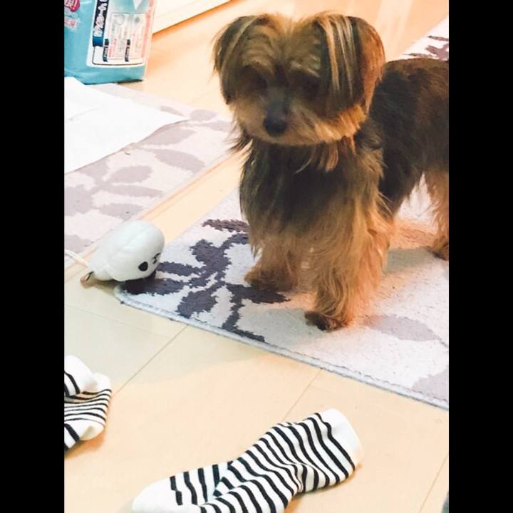 A0a0acde 037b 49c2 b498 1a757dacbe95 1528269490573