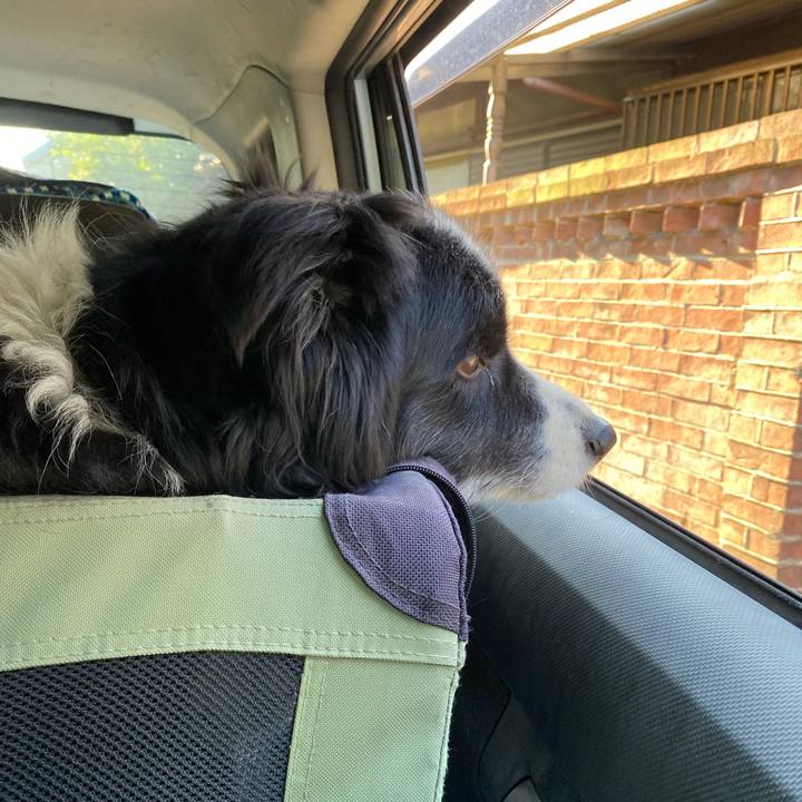 A0a0c582 facb 403c 841c e0c64d69f5d7 1652825085346