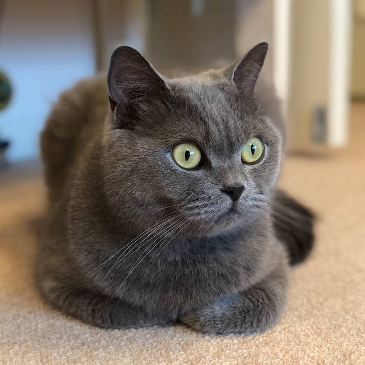 A0a0e38f b5be 4e1d 9ea0 e744d9faecab 1532765260404