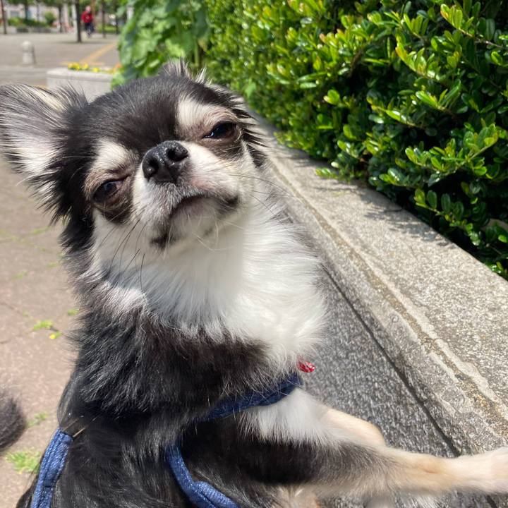 A0a0f4f7 2989 47fc 8fec 1ae974a4a22c 1621053962014