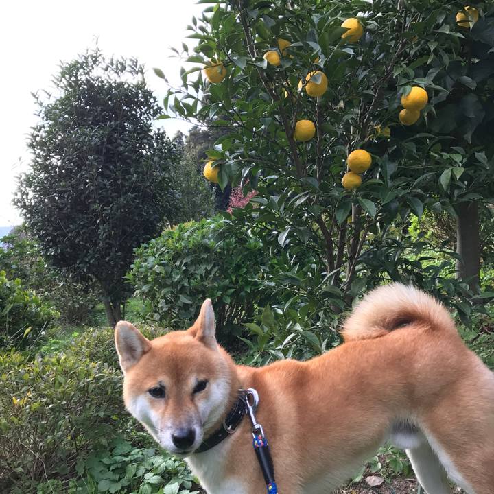 A0a1581e 5f29 4e00 afc8 a9acca3f6f0c 1509691377569