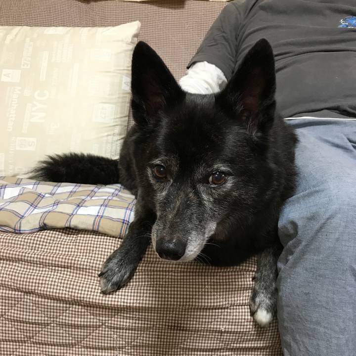 A0a162c9 d7e4 4273 b039 810bcf412200 1508414114418