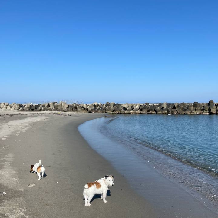 A0a17ef5 e22c 4217 9d66 60bf56fa423a 1650165810827