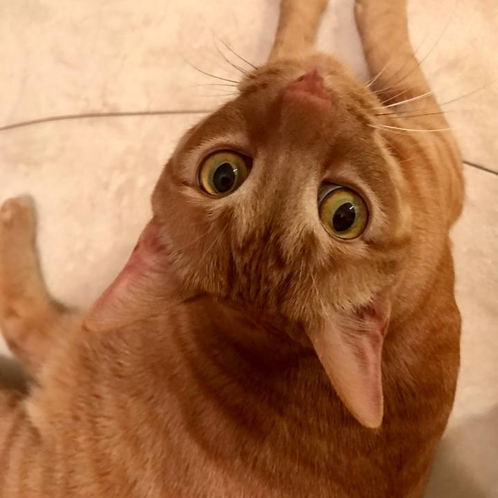 A0a19b04 d740 4b7c afc2 d70b8649f795 1615811365385