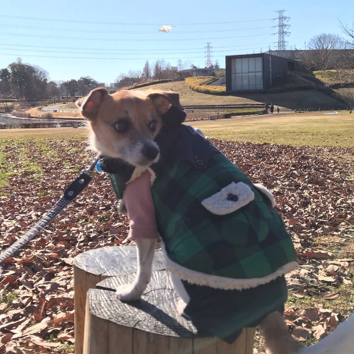 A0a1b77c f4be 43ce be95 323999eb4233 1546491998076