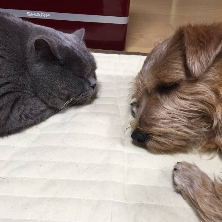 A0a1ce9a a7ed 4fff 8c6d ff319ad823d0 1773479675091