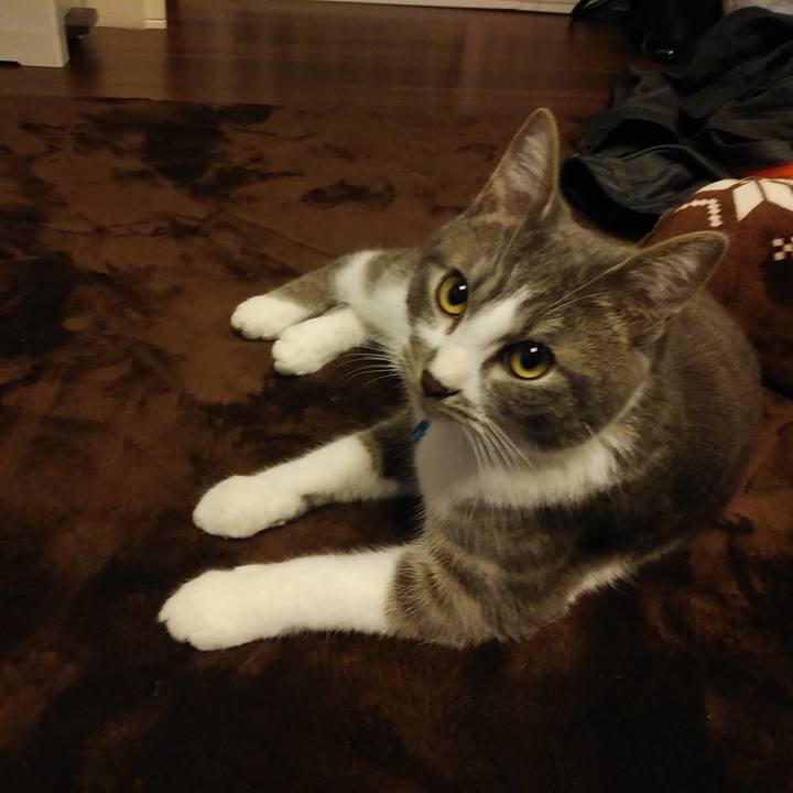 A0a1d128 f351 4d86 bac3 aa0069a224e1 1578648576610