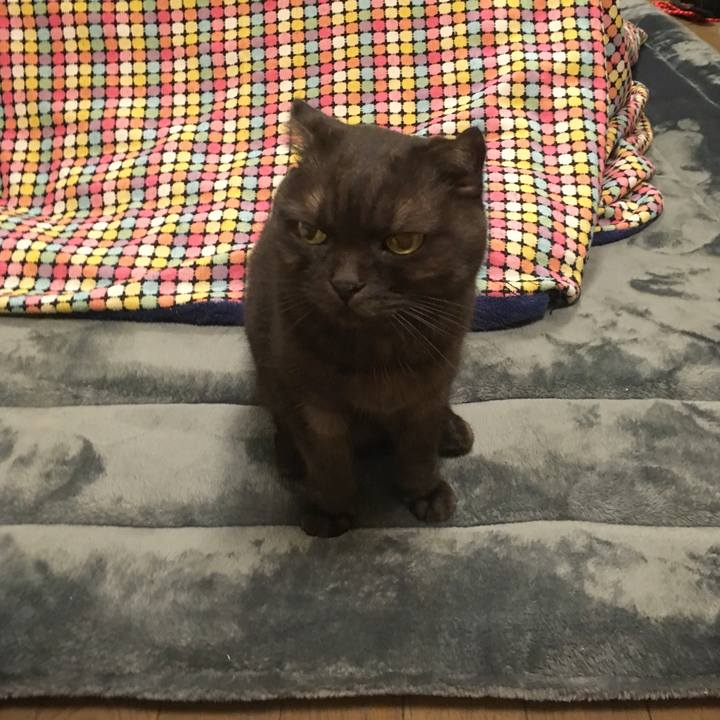 A0a1d565 03b9 4d66 93c9 14c93dc58373 1543589555762