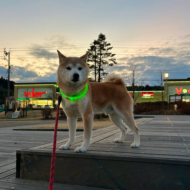 A0a210a7 669d 4462 b9f5 9df5e20d4d4e 1740567970328