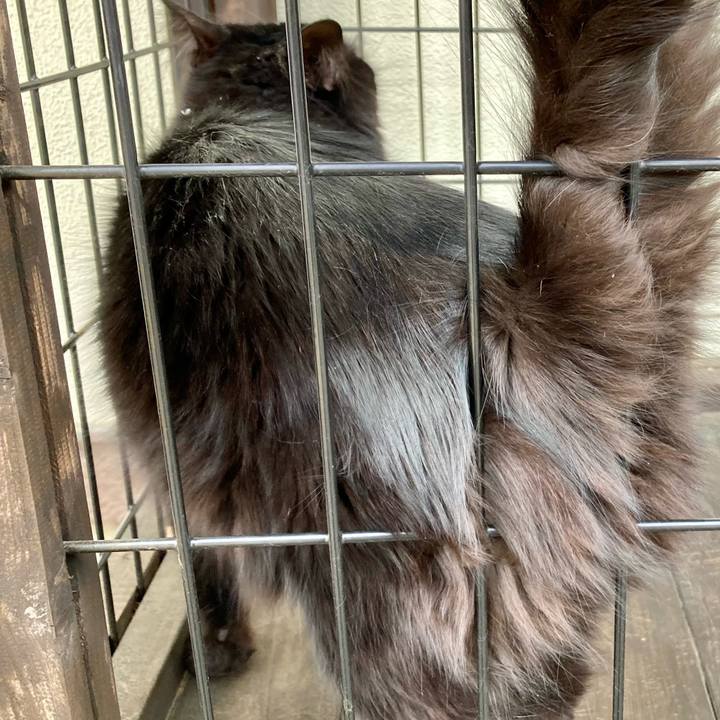 A0a257ab 2a8f 430d b1d8 9ea269ac7c78 1742813128832