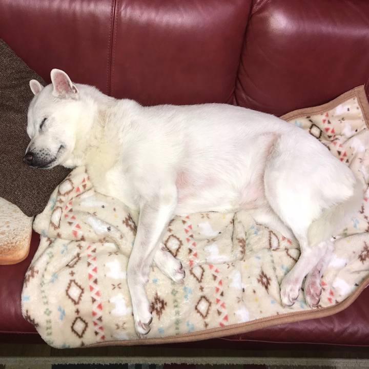 A0a2742a 006b 4fc8 8d59 b5eea53d3d4f 1525609138502