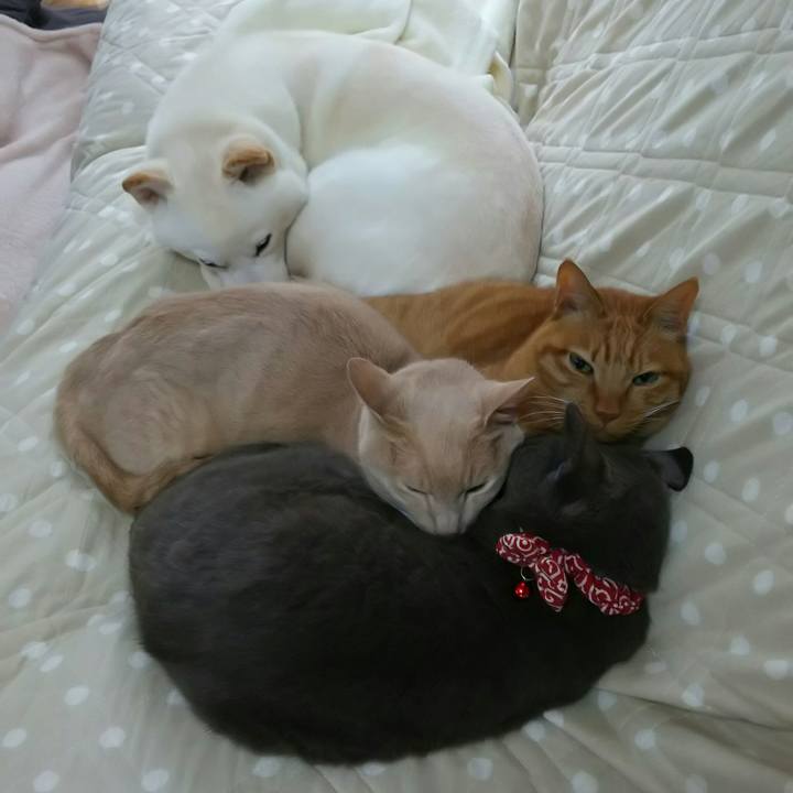 A0a2a49b 19d3 49d4 a891 ca32c4d0e766 1525913064618