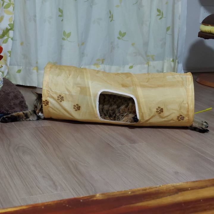 A0a2c2d0 942f 4365 b5ca c4930cbc0e0e 1639306914972