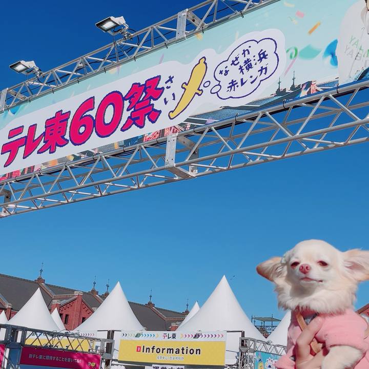 A0a2d68f 7624 450b 928c e899dcc9c1ee 1700380107174