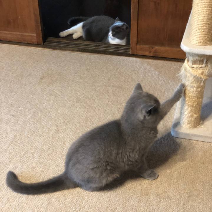 A0a2dbb4 ace3 48b8 9454 aefb6c4cbf51 1565998821615