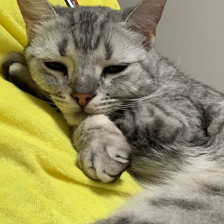 A0a3074a 2d96 403f 9e36 e65c145d2779 1592651510397