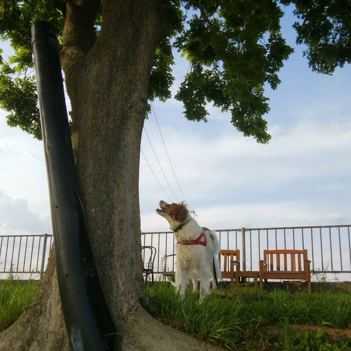 A0a314f3 db15 4e93 b4aa c423a7879d98 1558093017497