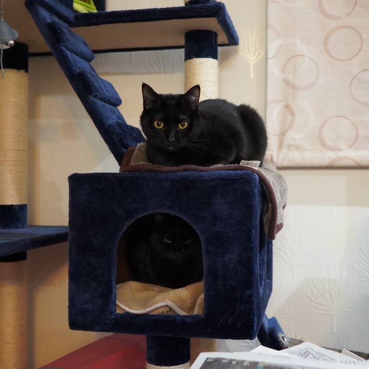 A0a316c2 4177 49a0 b132 adb1e66b6145 1584106137248