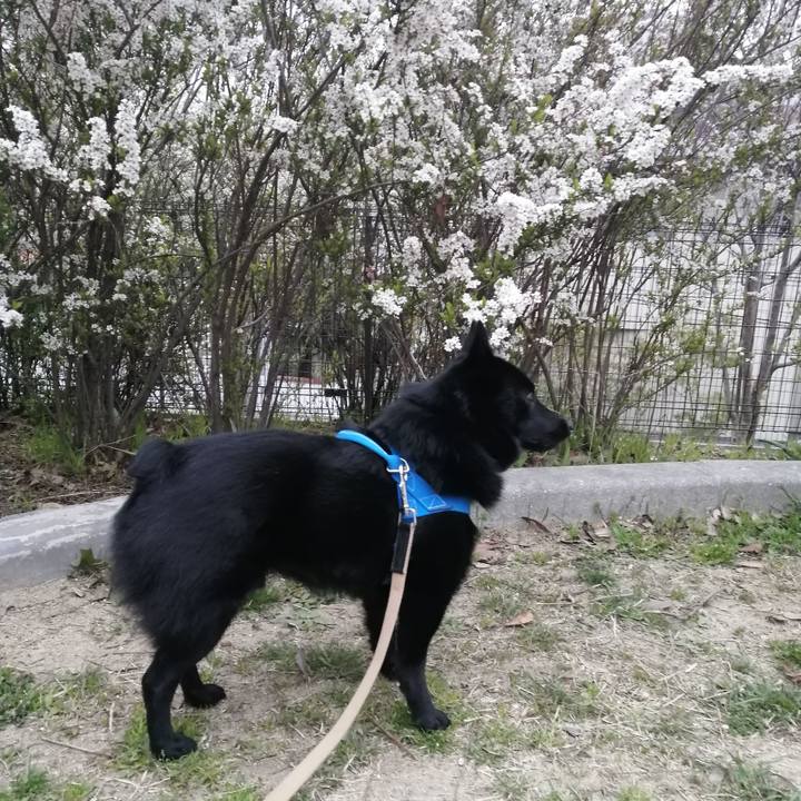 A0a32c42 69ca 4c2f 9a63 6fff3da67ad6 1615500003625