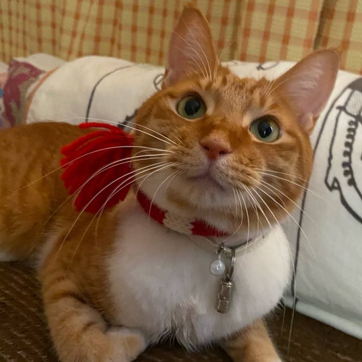 A0a32de6 08e9 46b6 8f5f 62416bfaa3d9 1640256114852