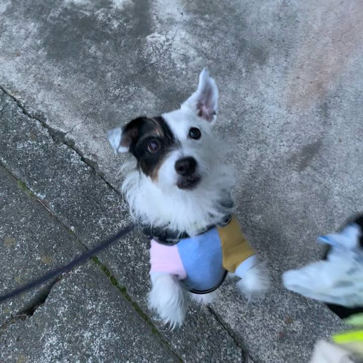 A0a3b109 08f4 41f0 baf3 48dcc6169fe0 1667292790257