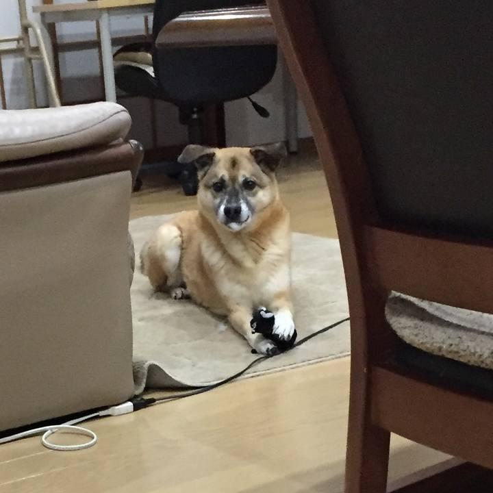 A0a3ba7c 15c4 4c6d 90ee 87613d3f4bc8 1515663403196