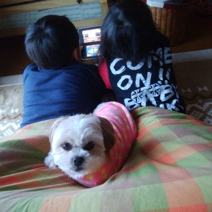 A0a3e02b 314c 4488 8116 00ea1180cb73 1514425519197