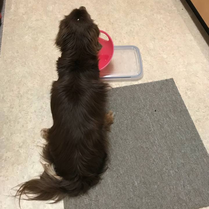 A0a4011a 77be 4b2a ba5f fcf3b19c854b 1531654744837