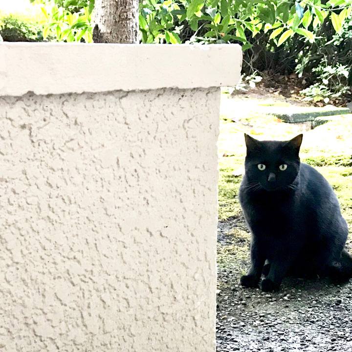 A0a40136 ef5e 4c49 bf55 71c757eb87fc 1511491095615