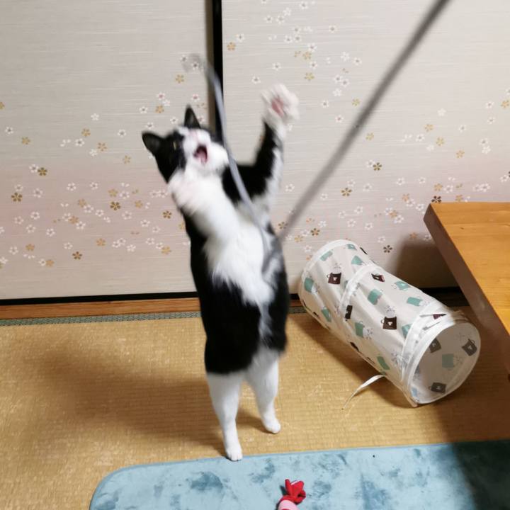 A0a42c63 061a 44e4 99e4 cab1d451bc40 1647781670274