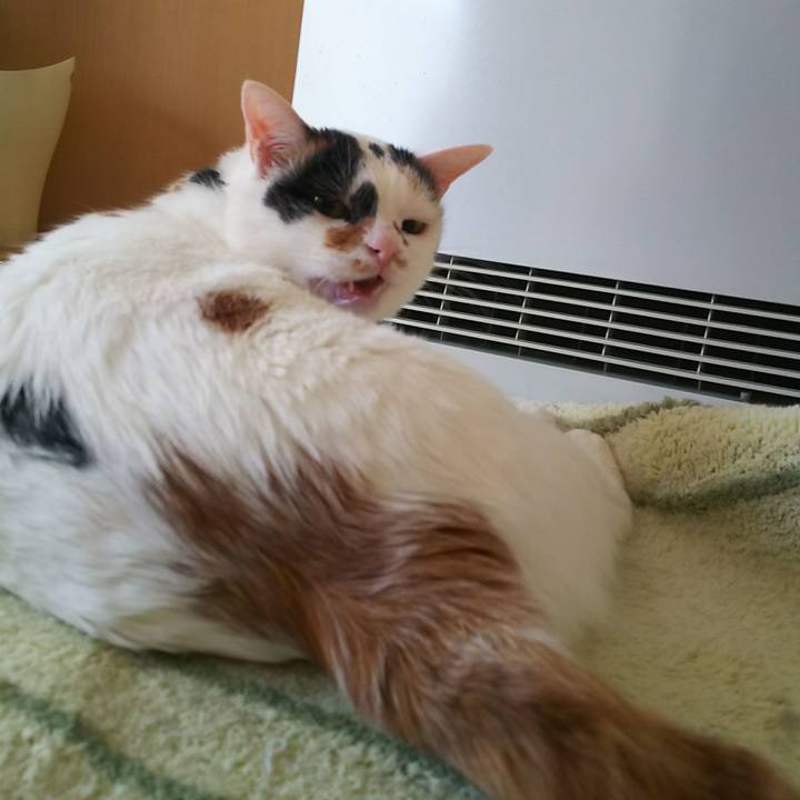 A0a47f35 ee4c 45f7 8a0d dafa740b9241 1550444421976