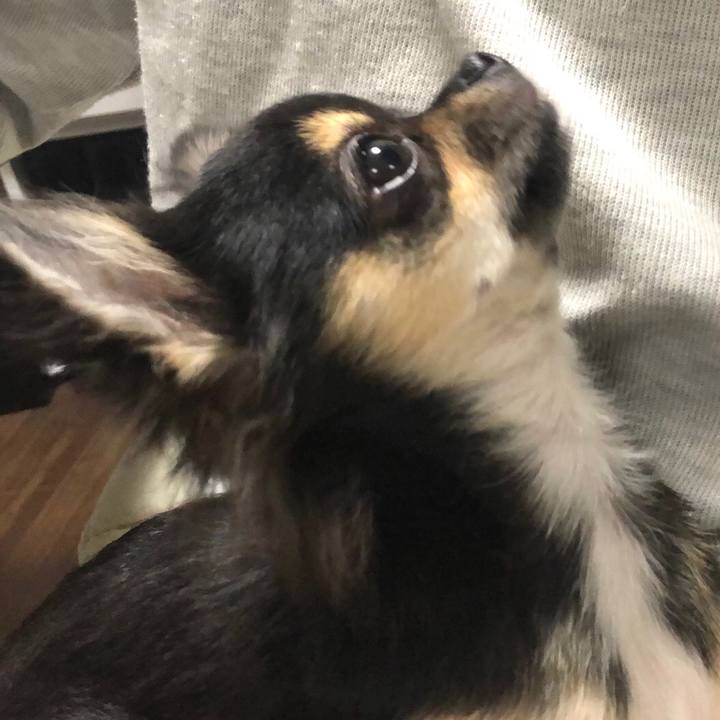 A0a4dc21 3c30 4164 a8df be1adbf65290 1541645864084