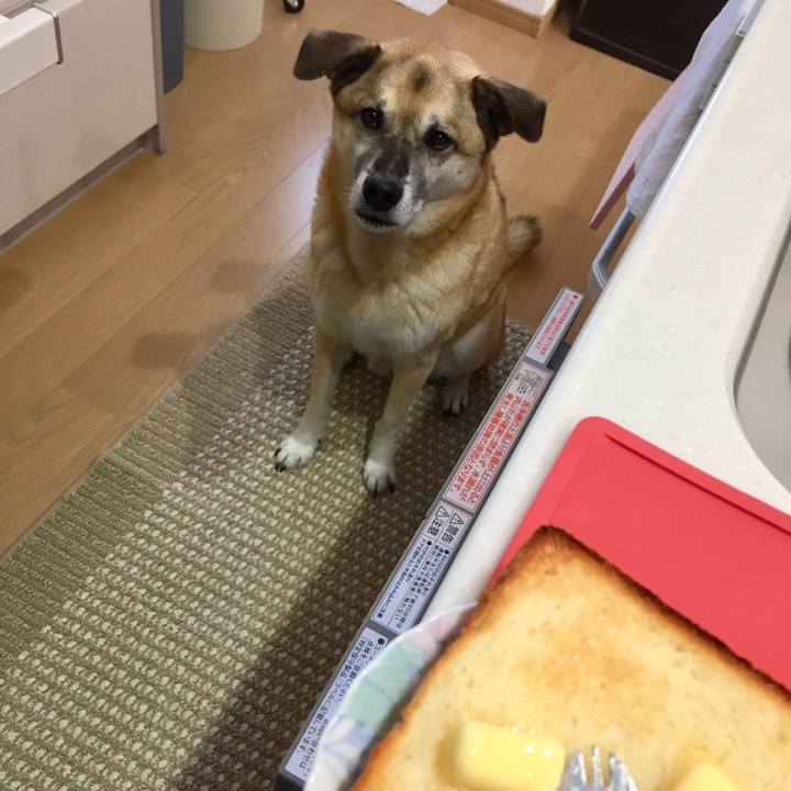 A0a4f699 d6b3 457e 8c13 e9e0ec414ac0 1540514316456