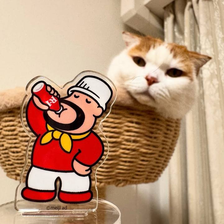 A0a5055d c590 40d4 af94 735974a0b9f7 1764408268316