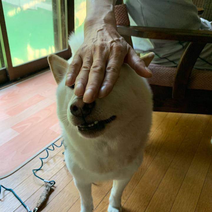 A0a51413 d7c4 4c23 9105 4f5a0be6f134 1597179753865