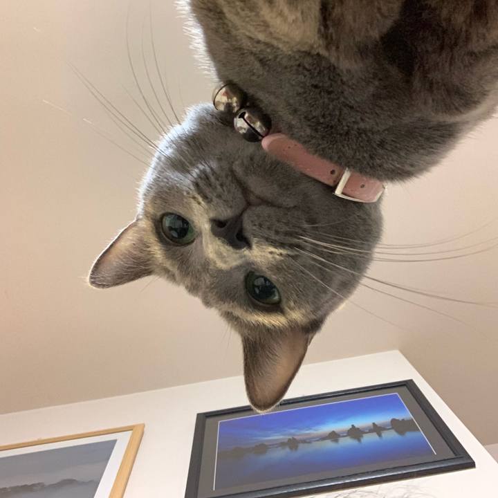 A0a54b8b f187 4a6f b736 1136b0f6efe3 1573122076761